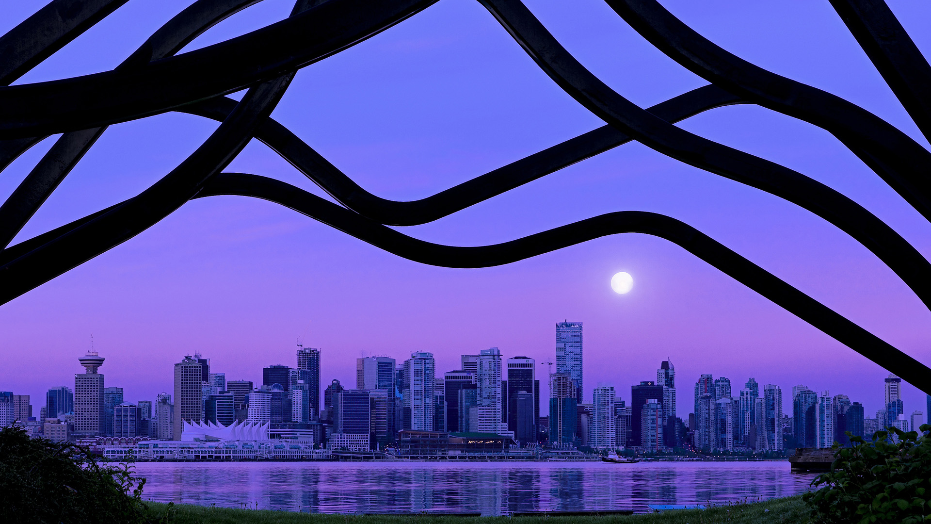 开云体育在线-终场0.7秒，特奥的赛场独白