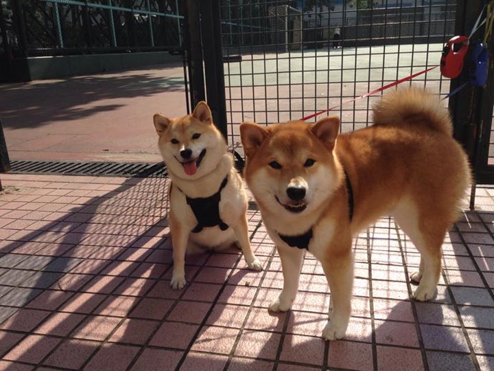 破幻之瞳，爱德华兹斩碎东方迷雾，魔术力克浙江取首胜