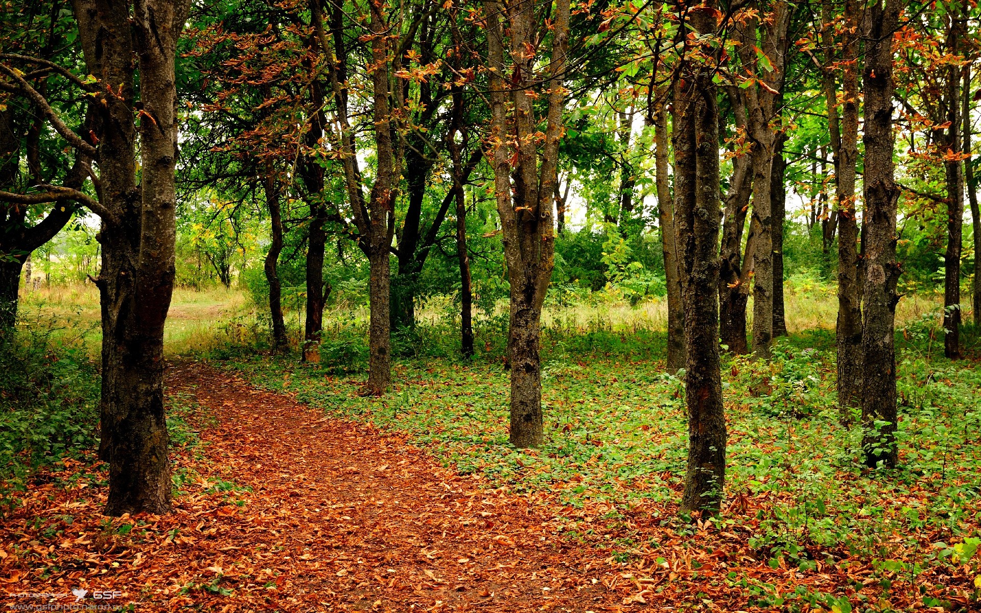 布宜诺斯艾利斯与开罗的交汇,当F1争冠战在虚拟赛道上演阿根廷与埃及的终极鏖战