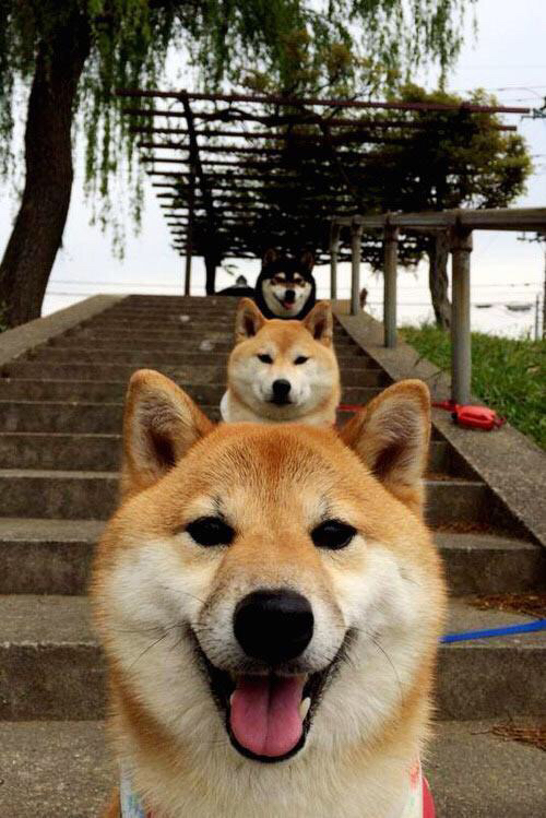 开云体育-从摩纳哥到米兰，渡边健太的意甲焦点战首秀