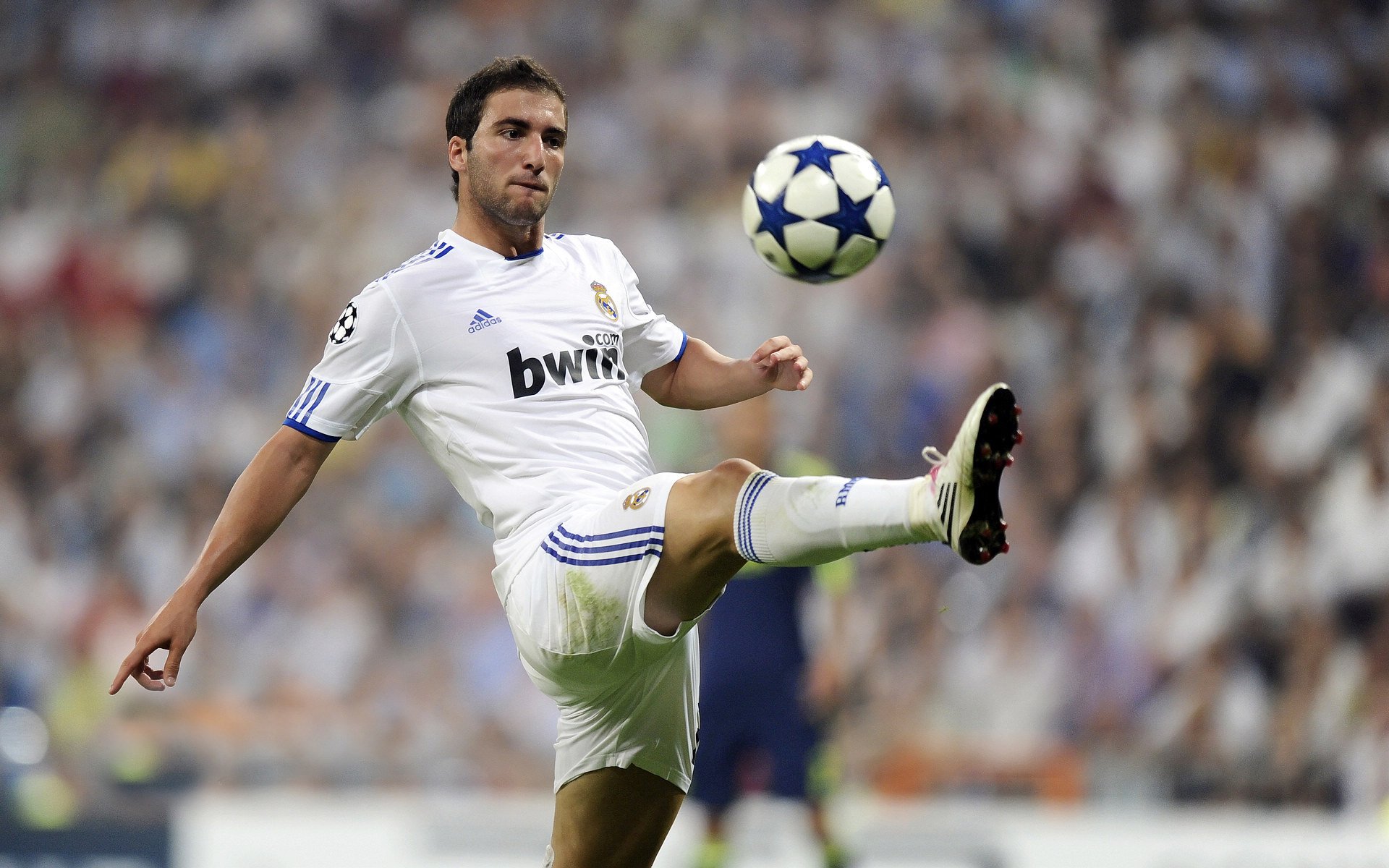 重返赛场并非回到原地，卢卡库的双响炮，炸开的是比利时队的蜕变之门