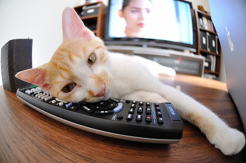 夜战之巅，凡人之躯与钢铁意志的荣光