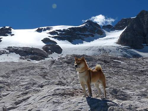 开云sport-F1年度争冠之夜，当棋盘上的罗德里末节接管赛道