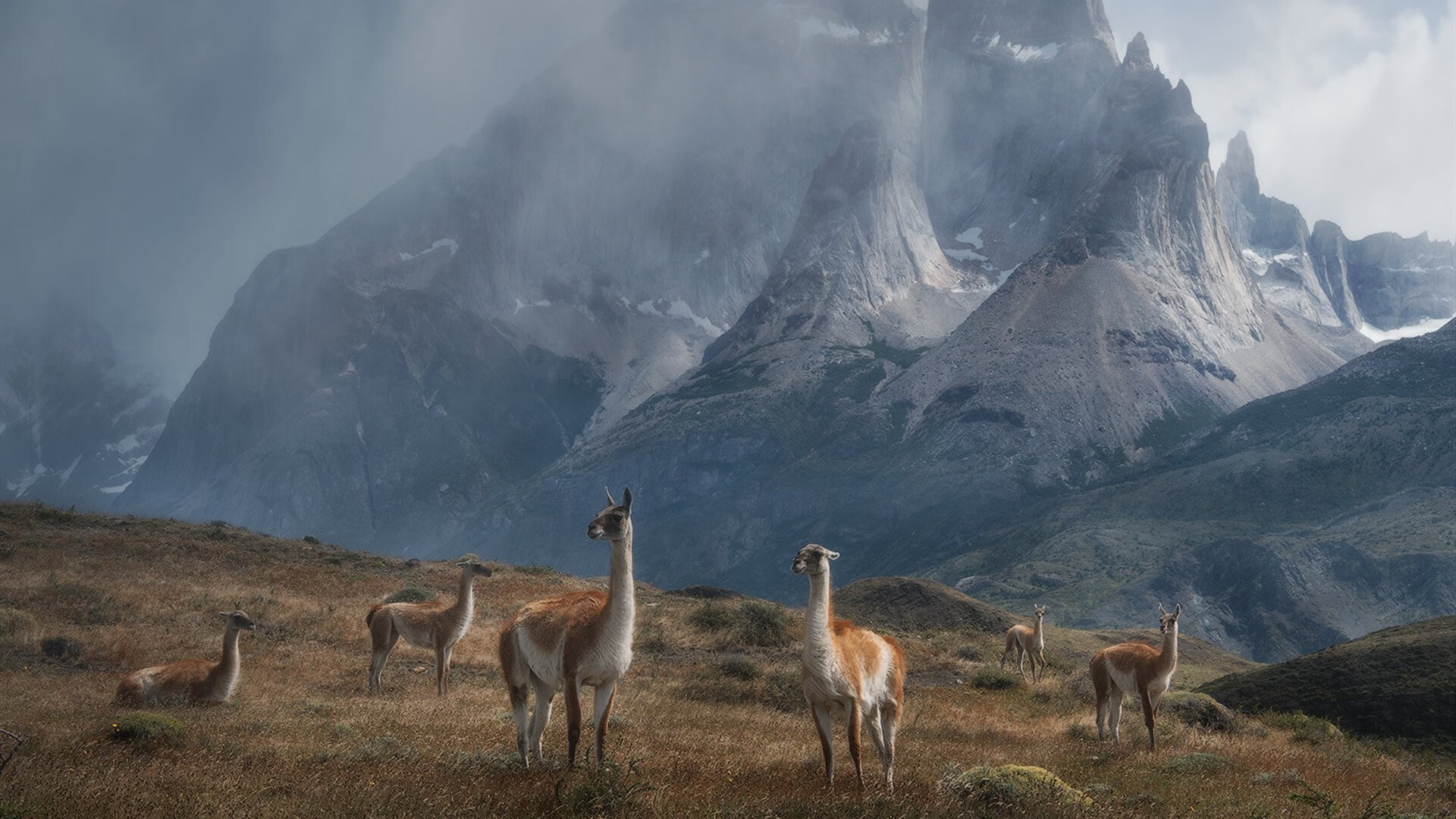 开云体育在线-唯一的掌控者，当凯塞多的节奏成为巴西与墨西哥之间的唯一法则