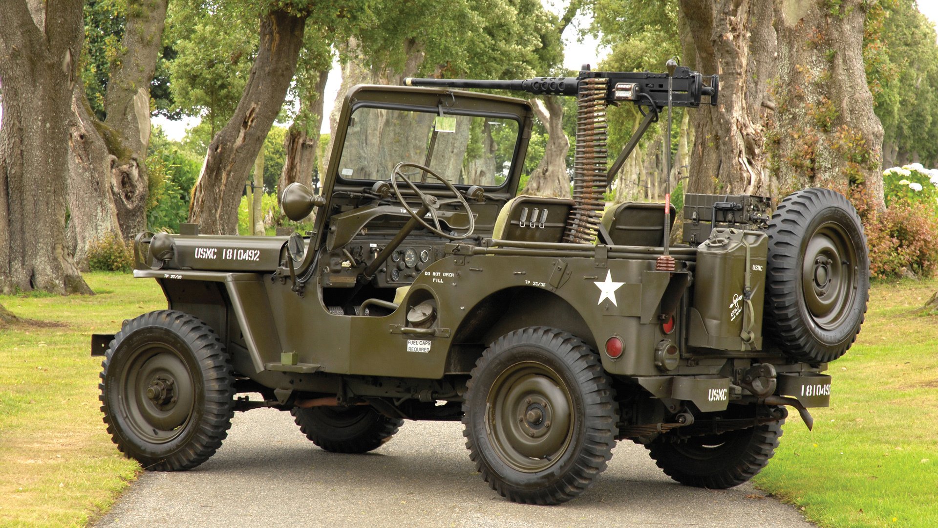 当英格兰玫瑰在意大利绽放，凯恩导演的都柏林征服之夜