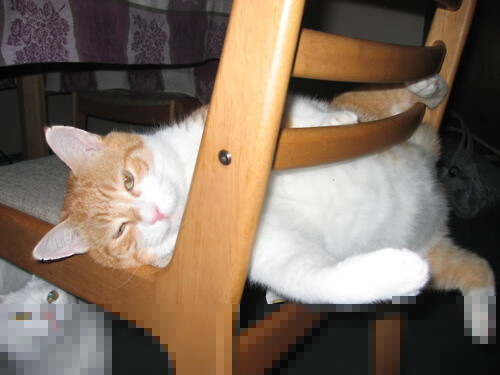 北非沙漠奏响终章狂想曲，姆巴佩的星辰照亮阿尔及利亚提前晋级的夜