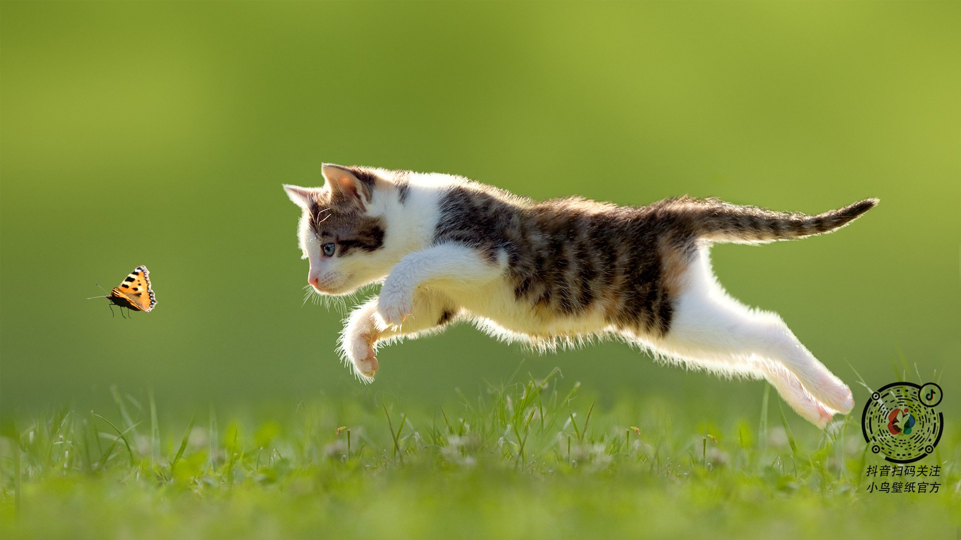 胜利与救赎，世界排名之夜的内马尔独舞