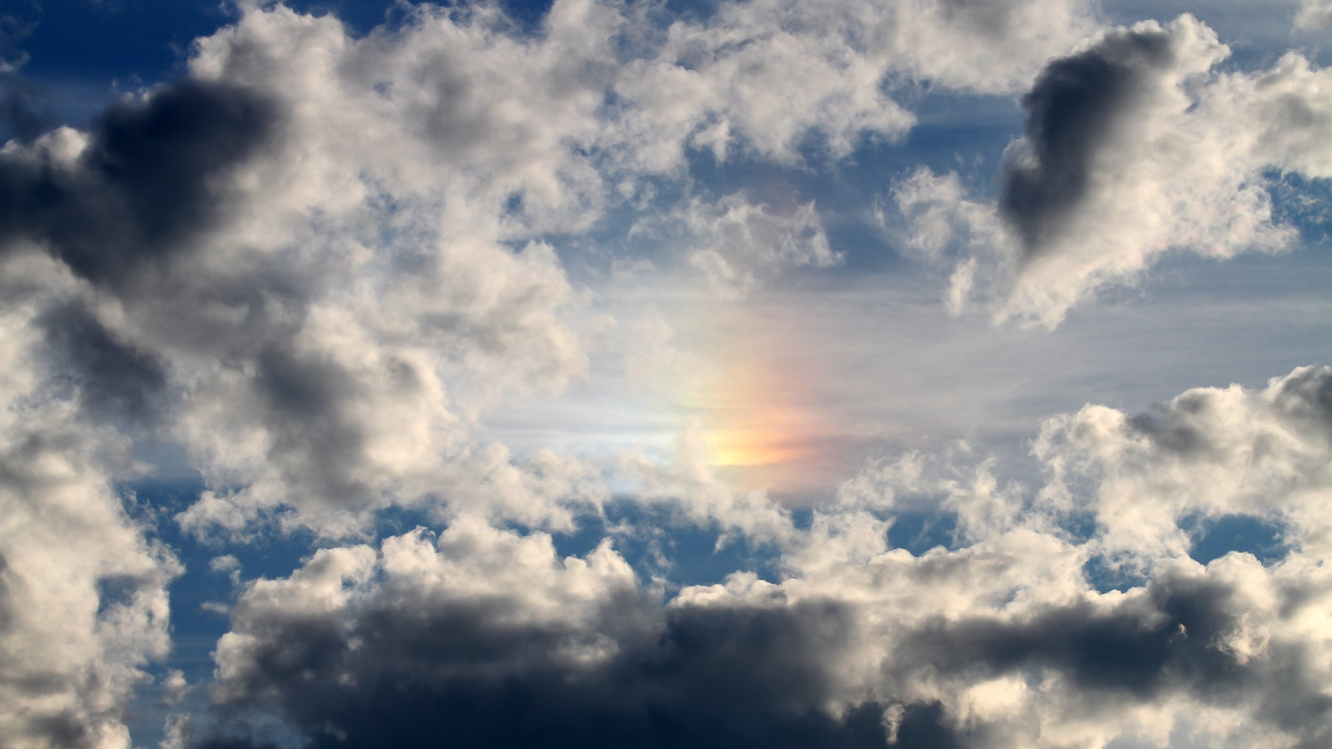 交响与炮火，当赖斯的锐利刺穿皇家社会的防线