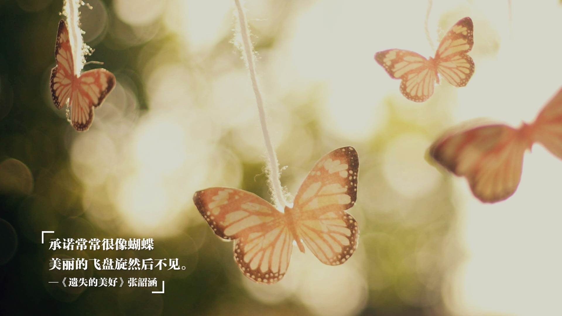 开云体育2026-冰与火之歌，当沙漠遇上郁金香，凯恩如何为卡塔尔编织荷兰式节奏