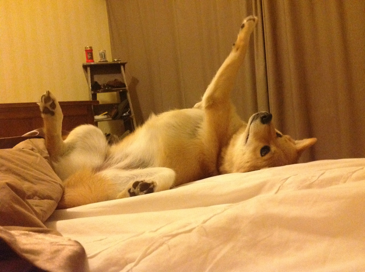 童话之国的意外败北，佩德里一传一射，洪都拉斯创下历史性胜利