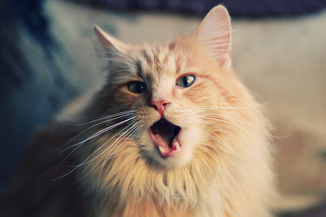 死神降临,西甲国家德比之夜,霍勒迪的45秒闪击让悬念提前终结