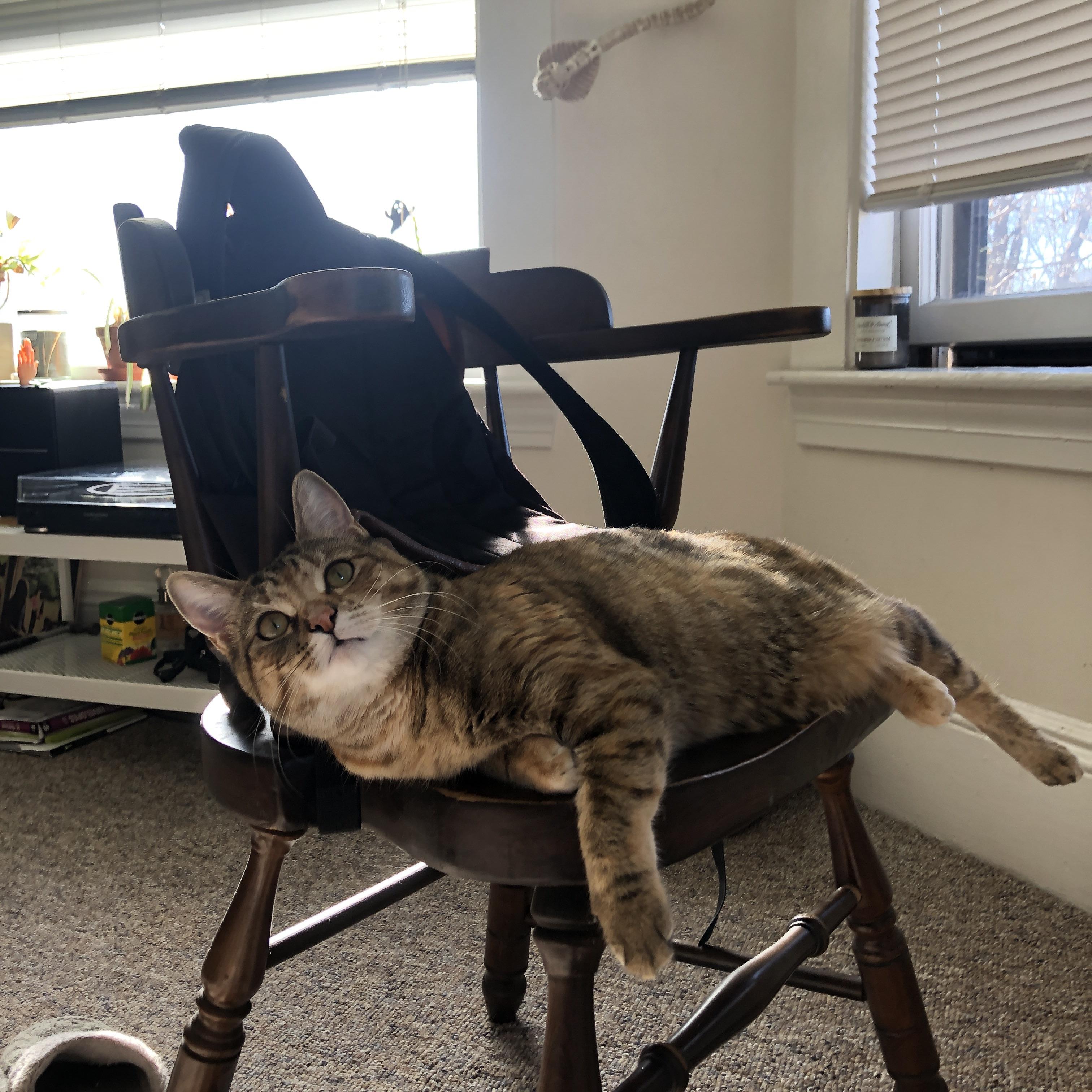 冰与火的对决，当瑞典的冷遇见萨拉赫的热—绿茵场上唯一性的双重奏