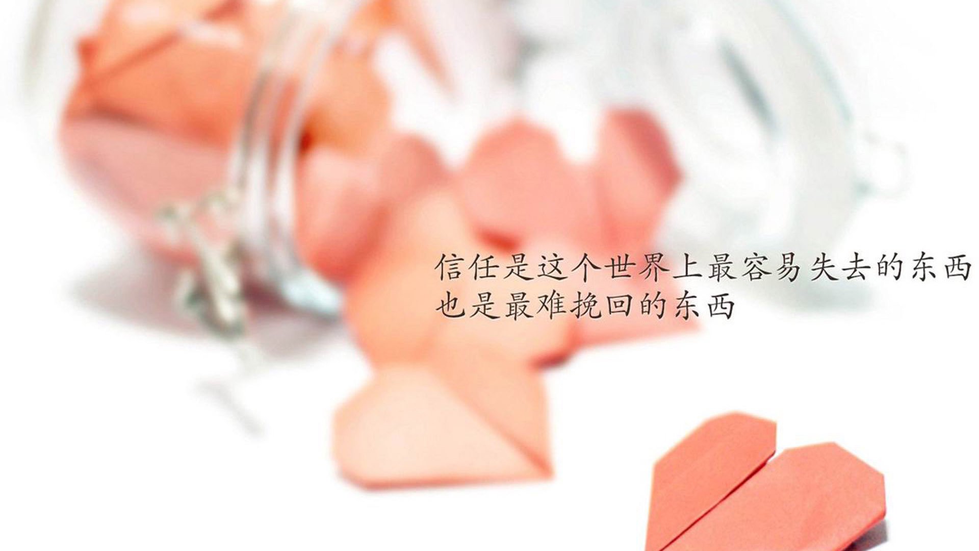 绿茵舵手,哈弗茨以一己之力掌舵新西兰与埃及的战术棋局