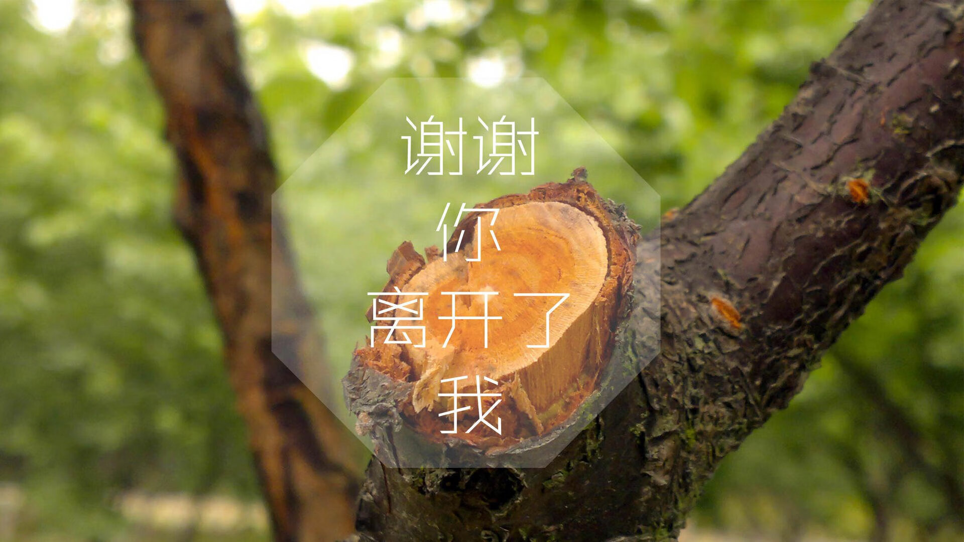 开云体育登录-沉寂与咆哮，文班亚马在无声压力下改变比赛走向的一夜