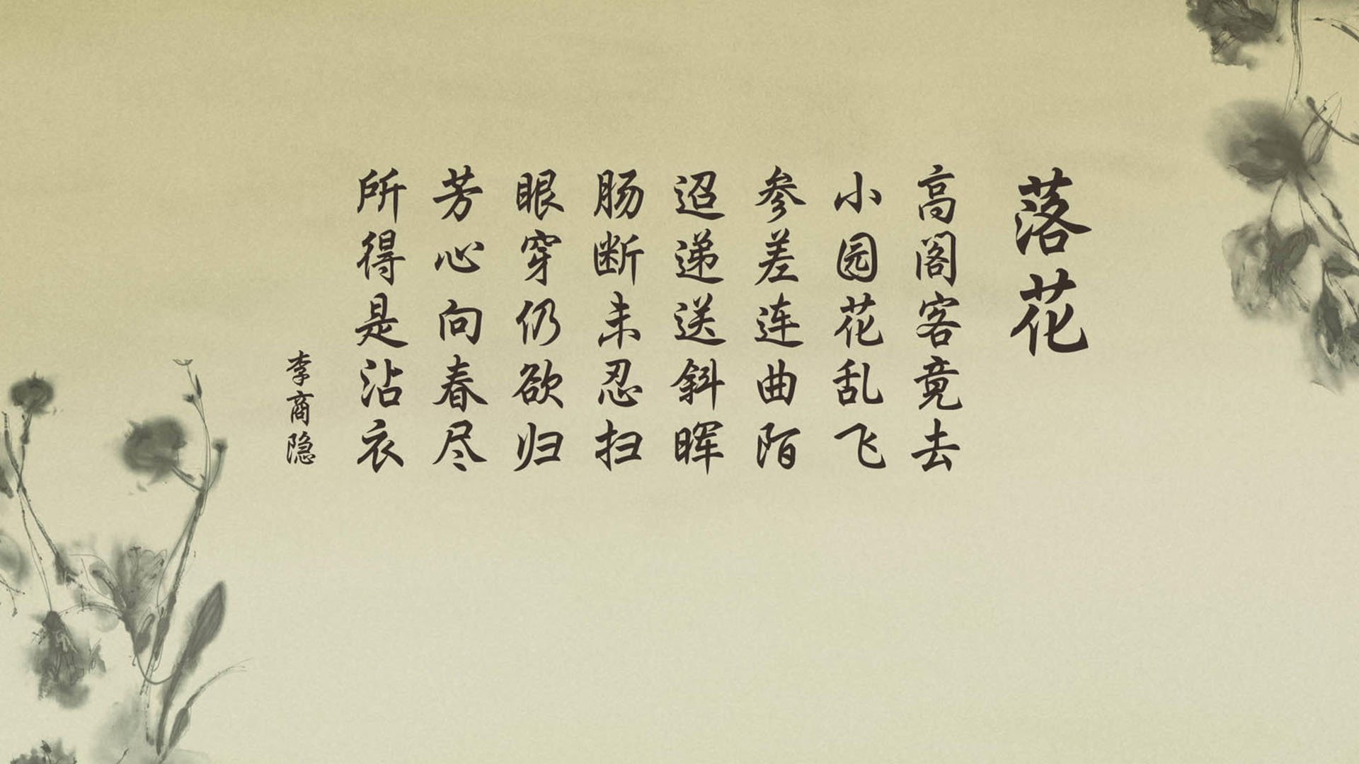 唯一的裂痕,当哈兰德选择成为突尼斯人,2026世界杯C组的世纪悖论